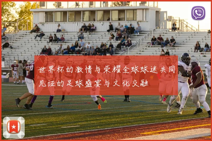 世界杯的激情与荣耀全球球迷共同见证的足球盛宴与文化交融