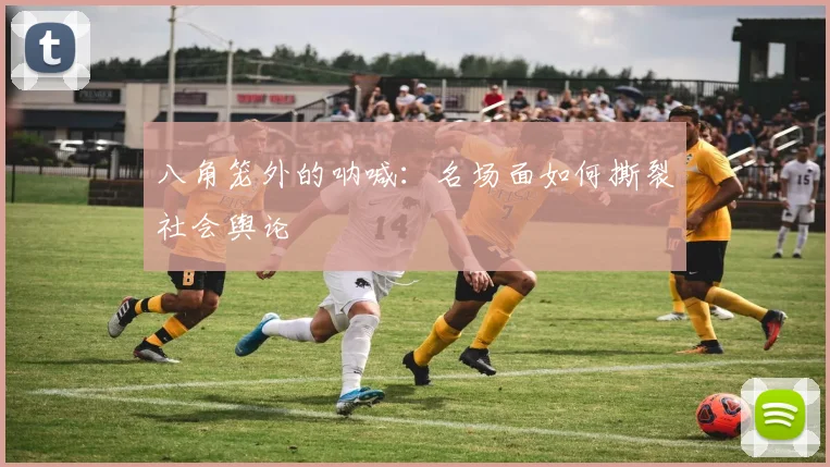 八角笼外的呐喊：名场面如何撕裂社会舆论