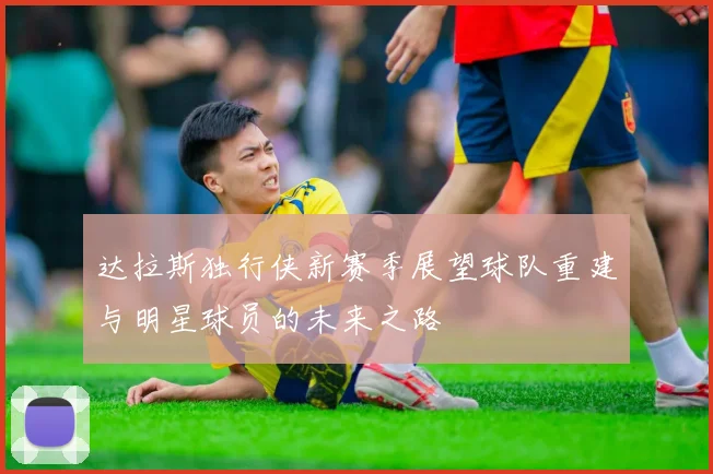 达拉斯独行侠新赛季展望球队重建与明星球员的未来之路