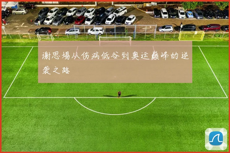 谢思埸从伤病低谷到奥运巅峰的逆袭之路