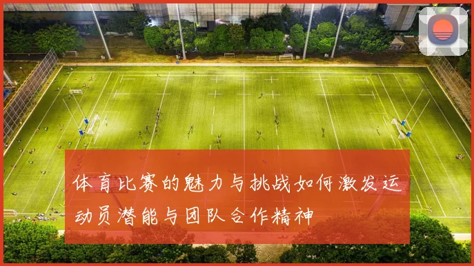 体育比赛的魅力与挑战如何激发运动员潜能与团队合作精神