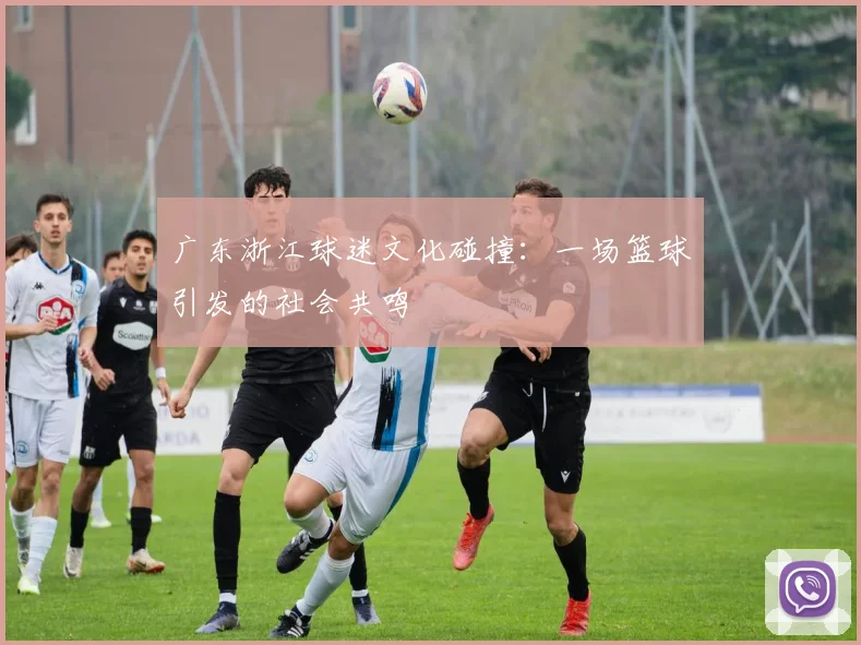 广东浙江球迷文化碰撞：一场篮球引发的社会共鸣