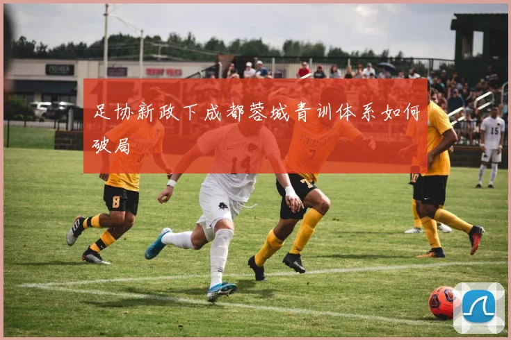 足协新政下成都蓉城青训体系如何破局